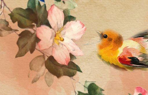 95年女屬豬跟什么屬相配