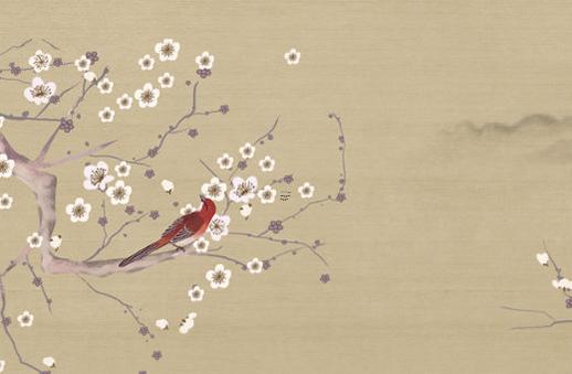 正常的男女出生比例 正常男女出生比率 正常的男女出生比例 正常男女出生比率