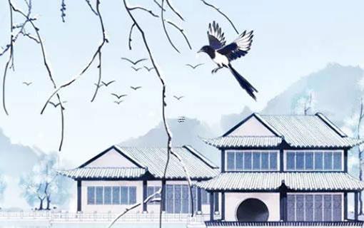 好多人都討厭金牛女拜金嗎 為什么討厭金牛女 好多人都討厭金牛女拜金嗎 為什么討厭金牛女