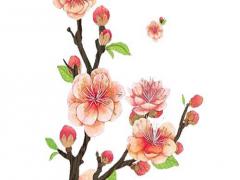 哪些姓氏不能同姓結婚 為什么同姓不能結婚