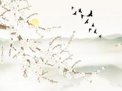 與客戶初次聊天話術(shù)900句 尋找客戶的12種方法