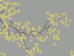 屬鼠和什么屬相是上等婚配 屬鼠的婚配什么屬相