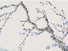 巨蟹座女生的性格優點和缺點 巨蟹座女生會隨便讓睡嗎