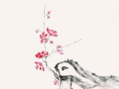 巴薩扎爾殺不殺,從莎爾神殿找回暗夜之歌