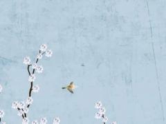 屬猴男與屬兔女配對,屬猴男和屬兔女的合不合財運