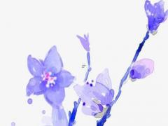 算命生辰八字測情感婚姻事業(yè) 生辰八字算命婚姻配對免費(fèi)測試