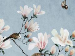 男屬蛇女屬兔婚姻相配嗎,蛇盤兔必須是男蛇女兔