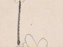 比肩劫財在八字里是什么方位 比肩劫財對婚姻的影響