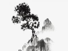 虎年出生男寶寶起名大全 虎年男寶寶名字大全