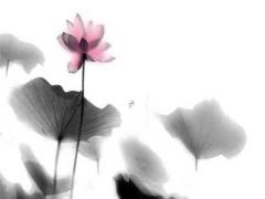 怎么算自己生辰八字缺什么呢 生辰八字如何算命里缺什么