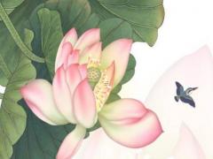 陳老師批八字官貴命理 八字官官