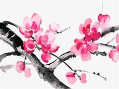 雙魚為什么是摩羯軟肋 為什么雙魚專治摩羯