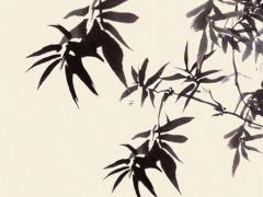 幾號出生雙魚最厲害 幾號出生的雙魚座好