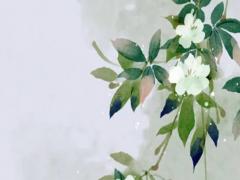 成都最好的攝影工作室是哪家 成都專業攝影攝影