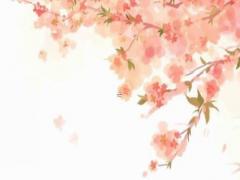 八字怎樣選擇出合適的婚姻對象 八字看擇偶標準