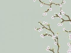 2024年屬馬人下半年的運勢如何 2024年屬馬人的全年運勢