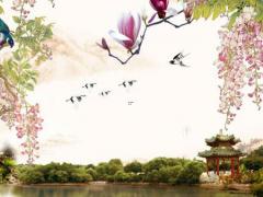 星座四象,水火土風星座克制關系