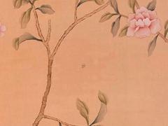 長在臉上的肉痣可以點(diǎn)掉嗎 臉上長的肉痣可以手術(shù)切除嗎