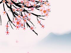 兩個屬雞的本命年好結婚嗎女孩 兩個都屬雞