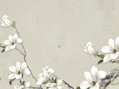 注定發財的生肖女是什么 一生中有發財命的生肖女