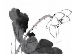 79年屬羊女人的愛情婚姻 79年屬羊女人婚姻感情