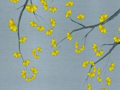 屬龍2026年,屬龍2026年多大