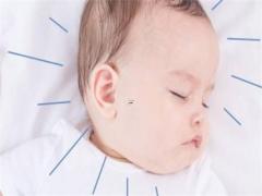 女手相算命圖解事業 手相女手