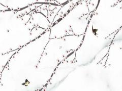 塔羅牌是科學(xué)還是迷信,算塔羅牌會(huì)損耗自己的運(yùn)氣嗎