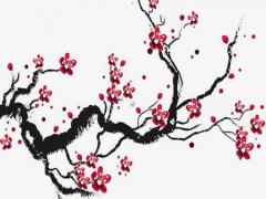 徐姓的寶寶名字大全 徐姓取名字好聽的名字