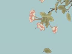 屬鼠七月出生的男孩婚姻如何 屬鼠生于七月