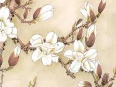 木跟火是相生還是相克,1982年屬狗的五行屬什么