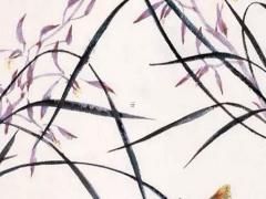 馬爾代夫婚紗攝影怎么樣 馬爾代夫婚禮價格表