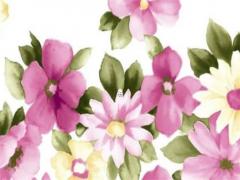 屬豬的可以配屬什么的,屬豬能和什么屬相相配的？