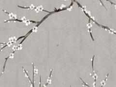 算命陀是是什么意思 算命的伎倆