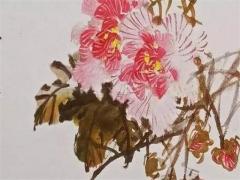 生辰八字指的是 生辰八字指的是出生年月日嗎