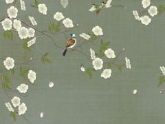 白羊女有怎樣的性格啊!! 白羊女的特性