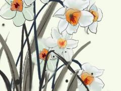 八字純陽為什么陽氣弱 八字純陽容易招邪嗎