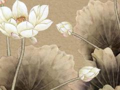 88年屬猴的婚配,88年婚配最佳對象