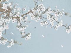 屬兔的女孩更佳婚配屬相 屬兔女孩婚姻要配什么屬性的男孩