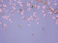 1979年的羊在2024年怎么樣 1979年在2024年運(yùn)程