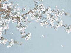 庚子年指的是哪年,2023是庚子年還是癸卯年