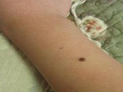 母憑子貴的女人面相,母憑子貴是貶義詞嗎