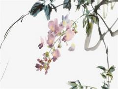 屬龍跟屬兔婚姻相配嗎,屬龍跟屬兔的人相配嗎