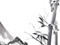 什么樣的八字有氣質 什么八字的人有氣質