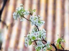 1973年2024年運勢 1973年2024年運勢