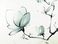 周歲過陽歷好還是農歷好,農歷和陽歷哪個是真正的生日