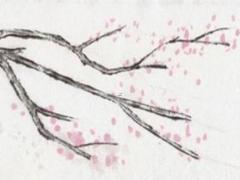 是姓女孩名字好聽(tīng)的名字