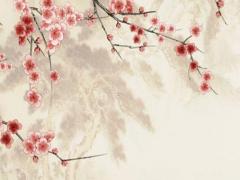 屬兔屬相表,屬兔的屬