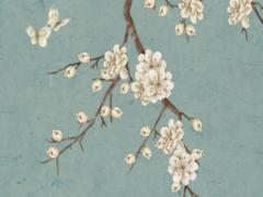 屬羊相合的生肖 屬羊的相合屬相