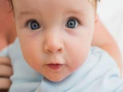 屬豬人起名適合用的字男孩 屬豬的起什么名字好男孩